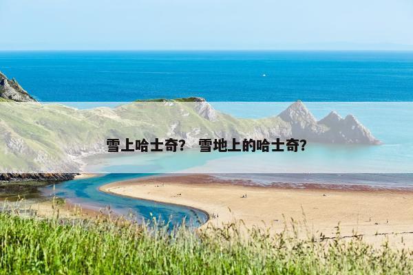 雪上哈士奇？ 雪地上的哈士奇？