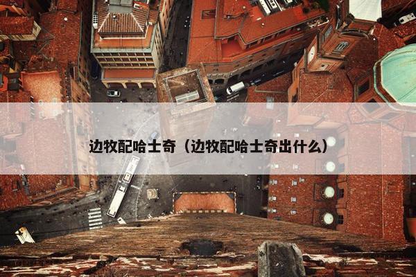边牧配哈士奇（边牧配哈士奇出什么）