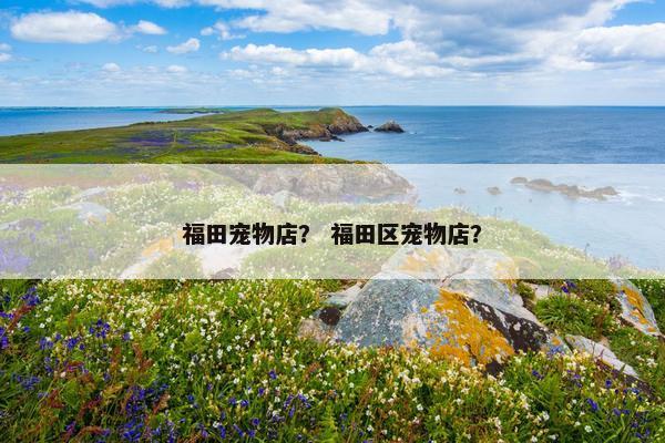 福田宠物店？ 福田区宠物店？