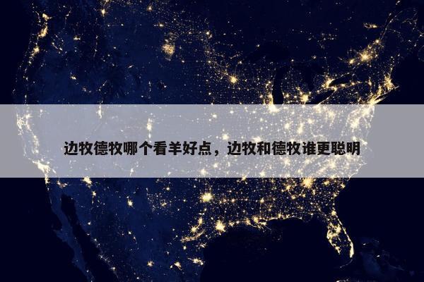 边牧德牧哪个看羊好点，边牧和德牧谁更聪明
