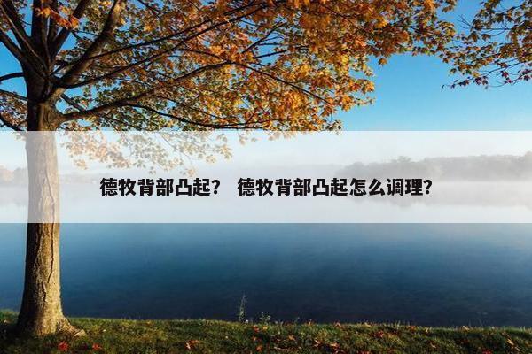 德牧背部凸起？ 德牧背部凸起怎么调理？