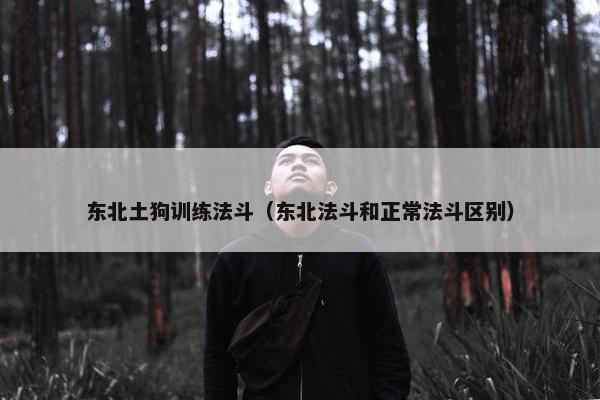 东北土狗训练法斗（东北法斗和正常法斗区别）