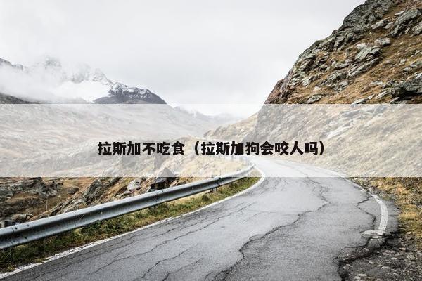 拉斯加不吃食（拉斯加狗会咬人吗）