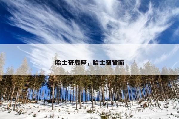 哈士奇后座，哈士奇背面