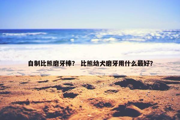 自制比熊磨牙棒？ 比熊幼犬磨牙用什么最好？