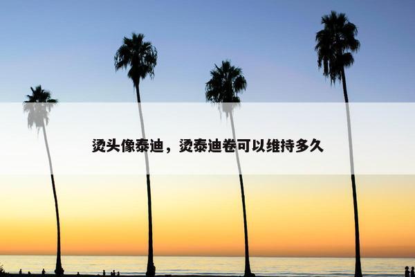 烫头像泰迪，烫泰迪卷可以维持多久