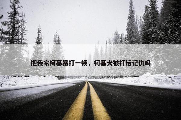 把我家柯基暴打一顿，柯基犬被打后记仇吗
