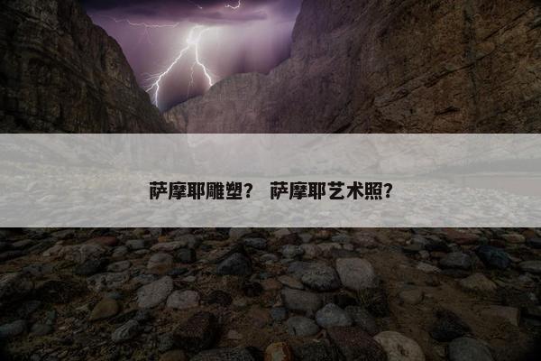 萨摩耶雕塑？ 萨摩耶艺术照？