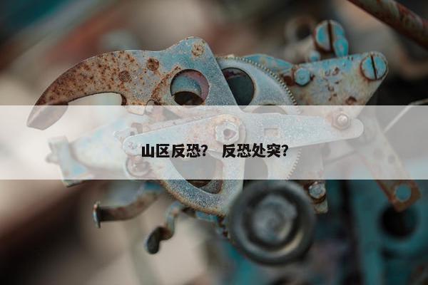 山区反恐？ 反恐处突？