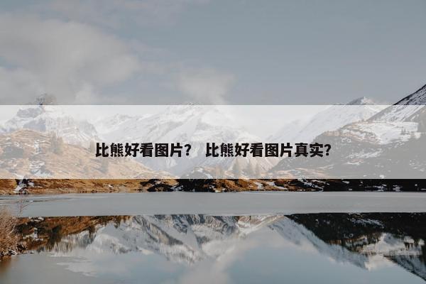 比熊好看图片？ 比熊好看图片真实？