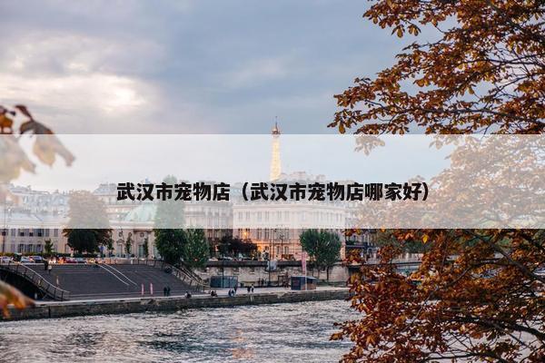 武汉市宠物店（武汉市宠物店哪家好）