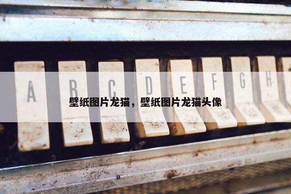 壁纸图片龙猫，壁纸图片龙猫头像