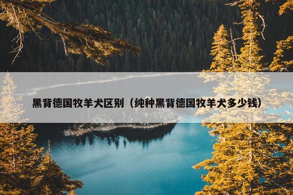 黑背德国牧羊犬区别（纯种黑背德国牧羊犬多少钱）