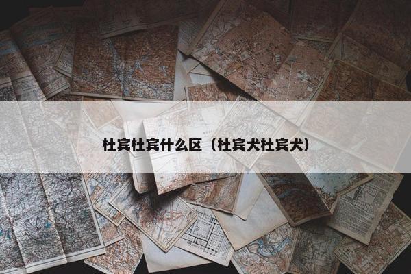 杜宾杜宾什么区（杜宾犬杜宾犬）
