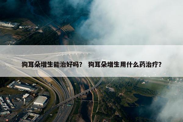 狗耳朵增生能治好吗？ 狗耳朵增生用什么药治疗？