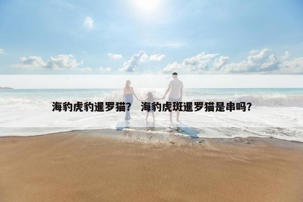 海豹虎豹暹罗猫？ 海豹虎斑暹罗猫是串吗？