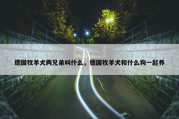 德国牧羊犬两兄弟叫什么，德国牧羊犬和什么狗一起养