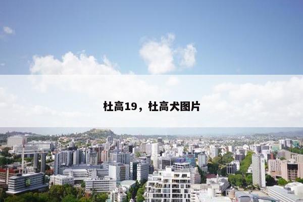 杜高19，杜高犬图片