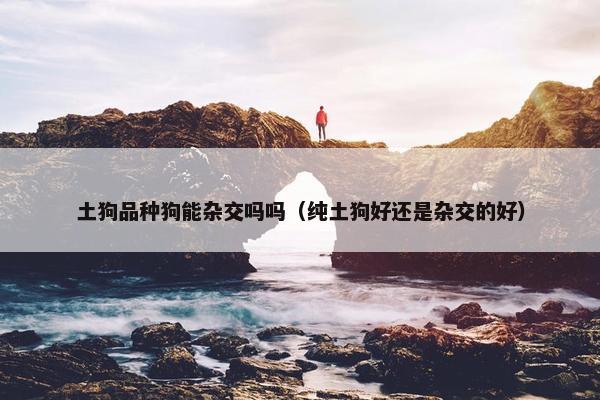 土狗品种狗能杂交吗吗（纯土狗好还是杂交的好）