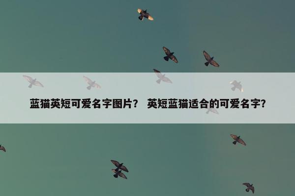蓝猫英短可爱名字图片？ 英短蓝猫适合的可爱名字？