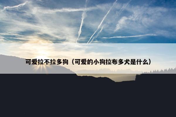 可爱拉不拉多狗（可爱的小狗拉布多犬是什么）