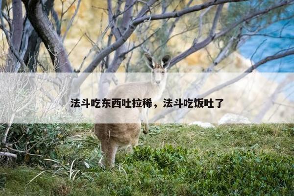 法斗吃东西吐拉稀，法斗吃饭吐了