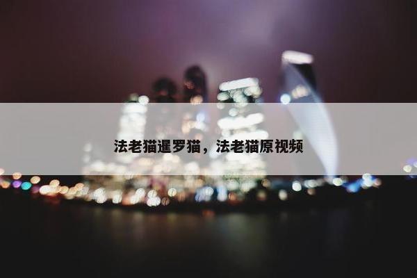 法老猫暹罗猫，法老猫原视频