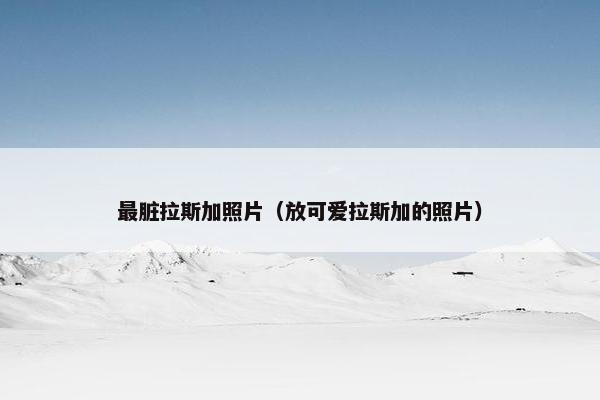 最脏拉斯加照片（放可爱拉斯加的照片）