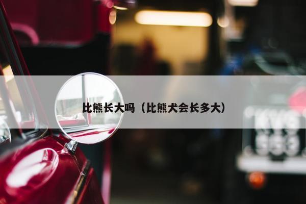 比熊长大吗（比熊犬会长多大）