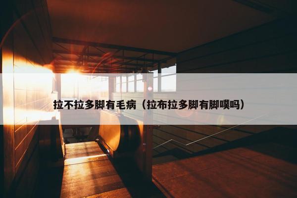 拉不拉多脚有毛病（拉布拉多脚有脚噗吗）