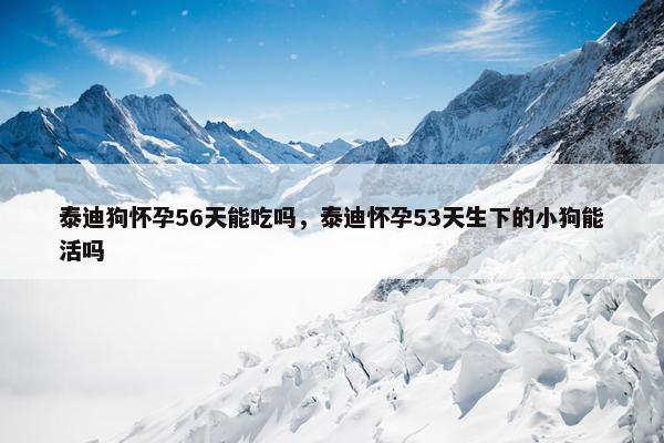 泰迪狗怀孕56天能吃吗，泰迪怀孕53天生下的小狗能活吗