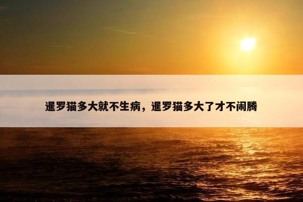 暹罗猫多大就不生病，暹罗猫多大了才不闹腾