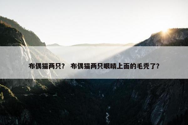 布偶猫两只？ 布偶猫两只眼睛上面的毛秃了？