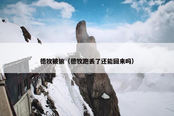 德牧被偷（德牧跑丢了还能回来吗）