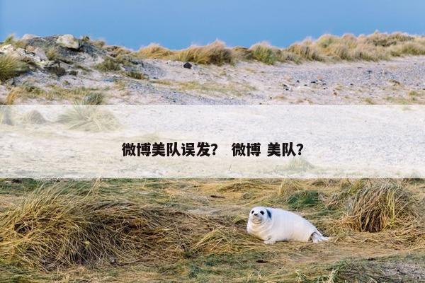 微博美队误发？ 微博 美队？