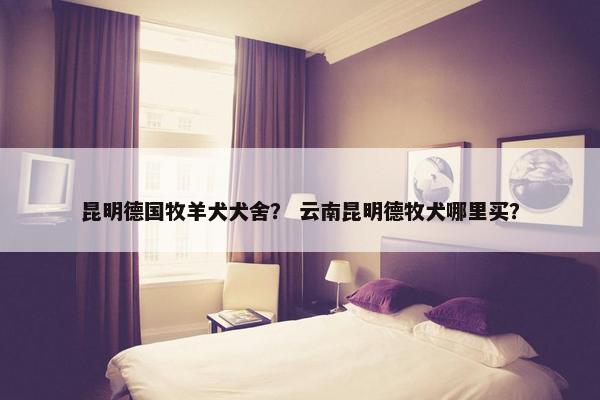 昆明德国牧羊犬犬舍？ 云南昆明德牧犬哪里买？