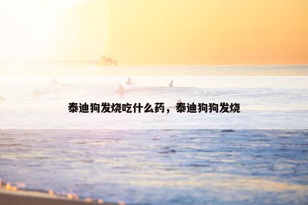泰迪狗发烧吃什么药，泰迪狗狗发烧