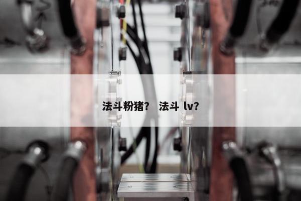 法斗粉猪？ 法斗 lv？