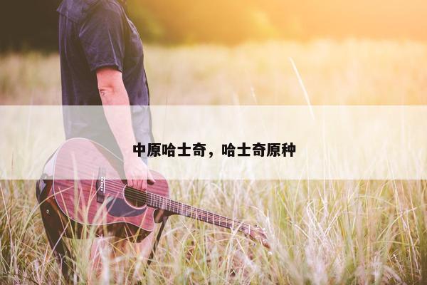 中原哈士奇，哈士奇原种