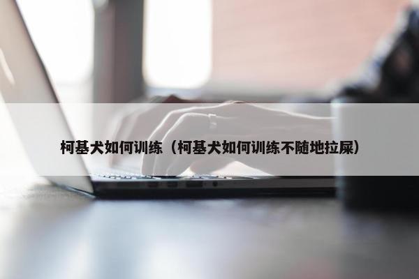 柯基犬如何训练（柯基犬如何训练不随地拉屎）