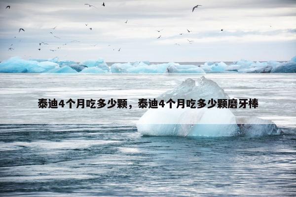 泰迪4个月吃多少颗，泰迪4个月吃多少颗磨牙棒