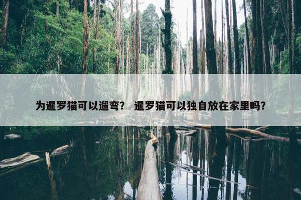 为暹罗猫可以遛弯？ 暹罗猫可以独自放在家里吗？