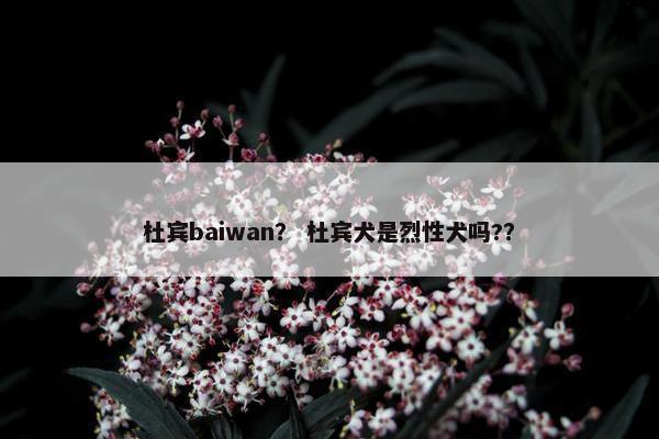 杜宾baiwan？ 杜宾犬是烈性犬吗?？