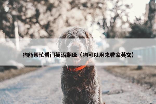 狗能帮忙看门英语翻译（狗可以用来看家英文）