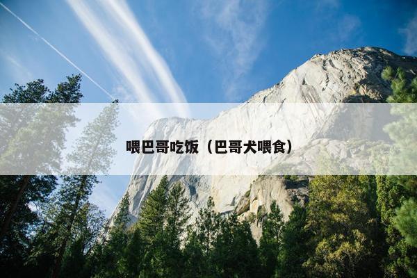 喂巴哥吃饭（巴哥犬喂食）