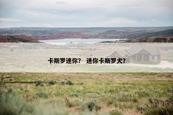 卡斯罗迷你？ 迷你卡斯罗犬？