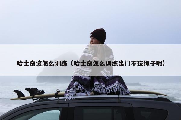 哈士奇该怎么训练（哈士奇怎么训练出门不拉绳子呢）
