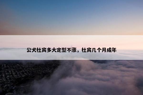 公犬杜宾多大定型不涨，杜宾几个月成年