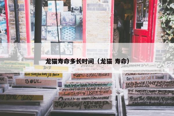龙猫寿命多长时间（龙猫 寿命）