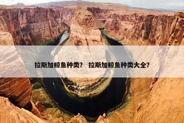 拉斯加鲸鱼种类？ 拉斯加鲸鱼种类大全？